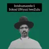 Methuli Mlungwana - (intshumayelo) Inkosi UNyazi lweZulu - Single